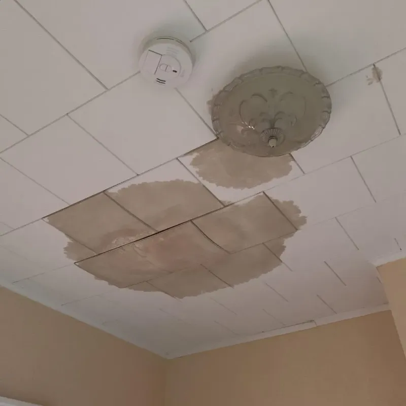 Ceiling Water Damage Repair in Menominee County, MI