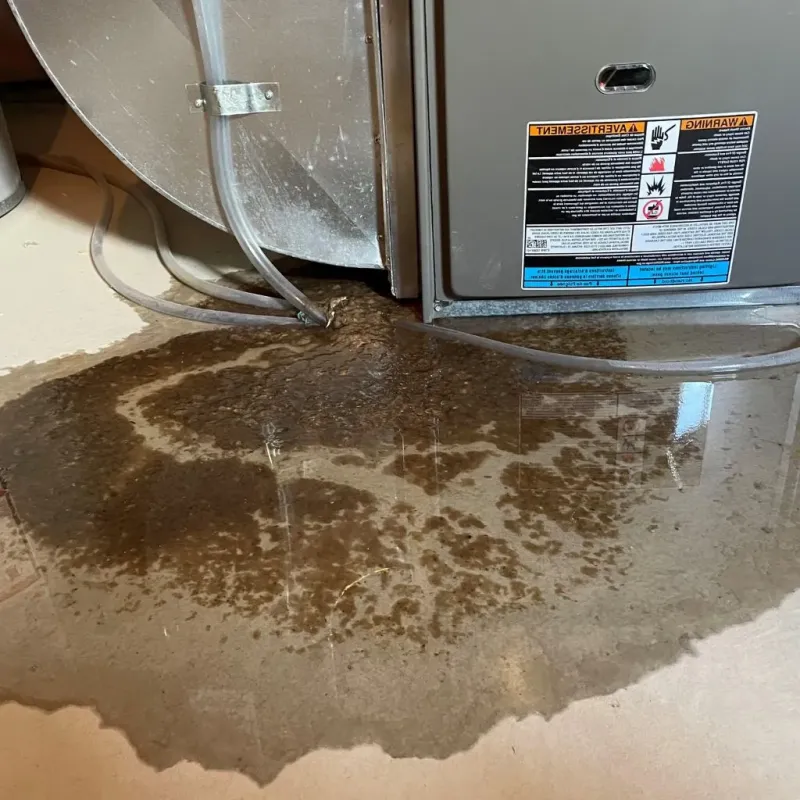 Pipe Burst and Leak Restoration in Menominee County, MI