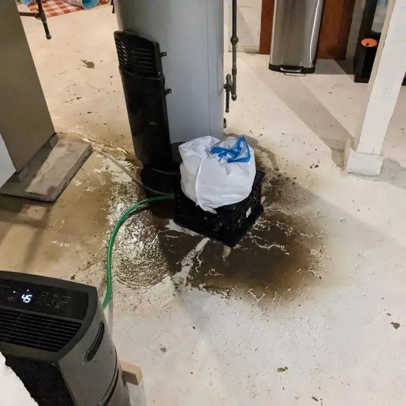 Sewage Backup Cleanup Service in Menominee County, MI